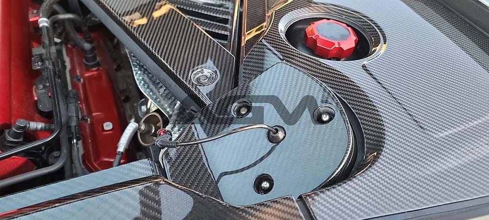 C8 Corvette AGM Carbon Fiber Rear Strut Covers